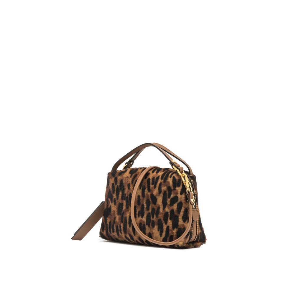 Gianni Chiarini ALIFA LINCE-CUOIO