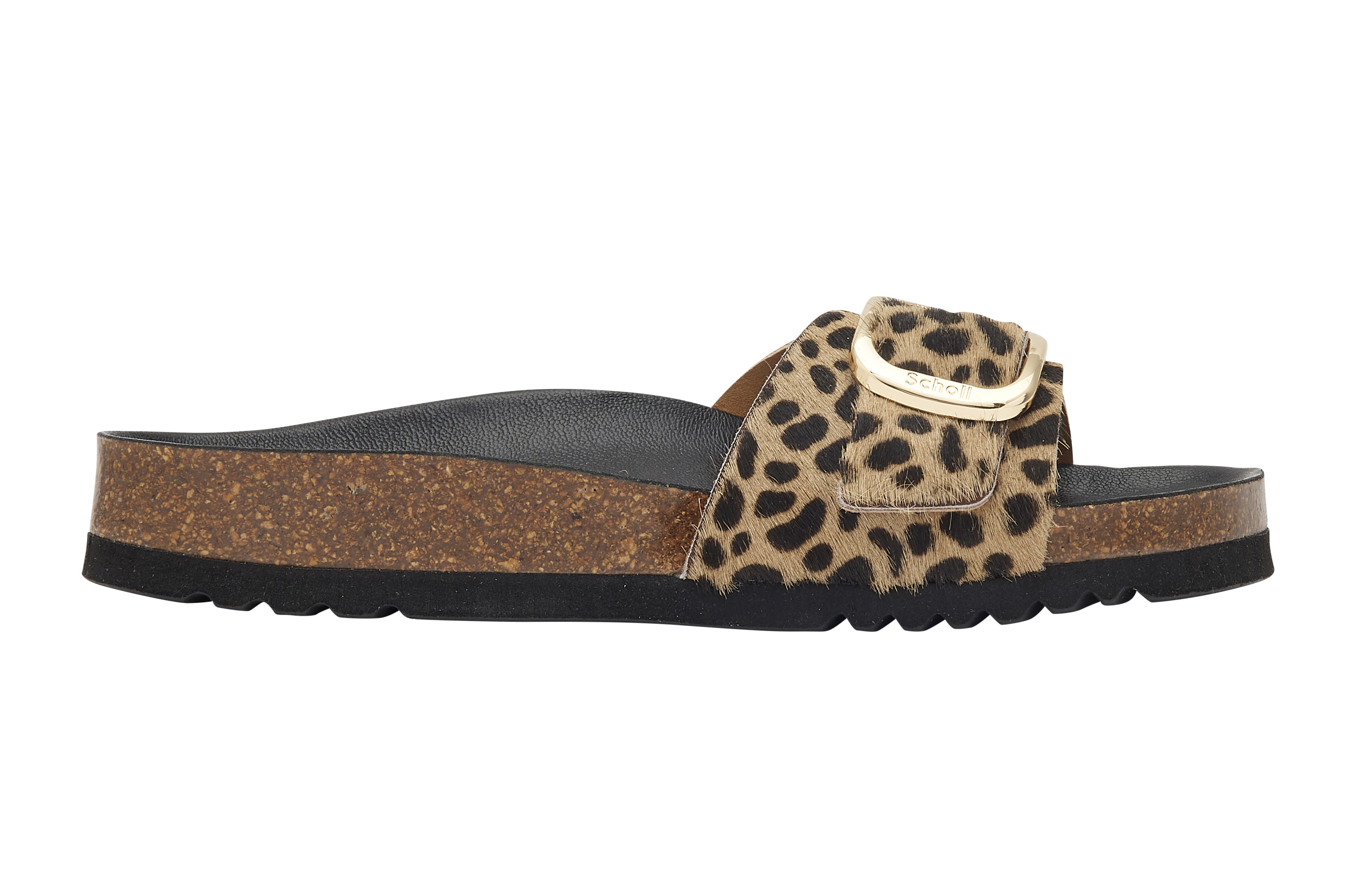 Scholl Kathleen Leopard